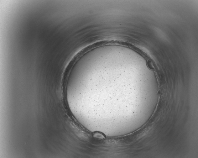 X0000069390927200605262112