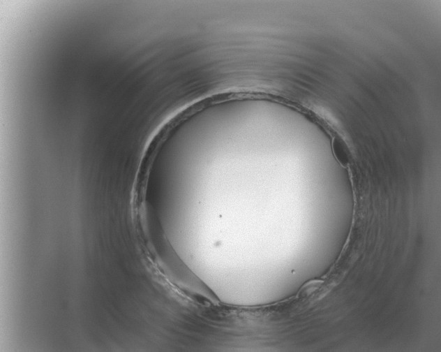 X0000069390928200605262112