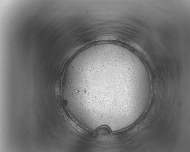 X0000069390929200605262112