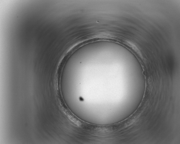 X0000069390931200605262112