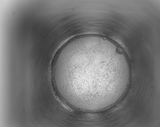 X0000069390933200605262112