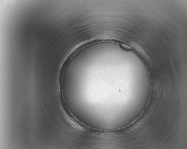 X0000069390934200605262113