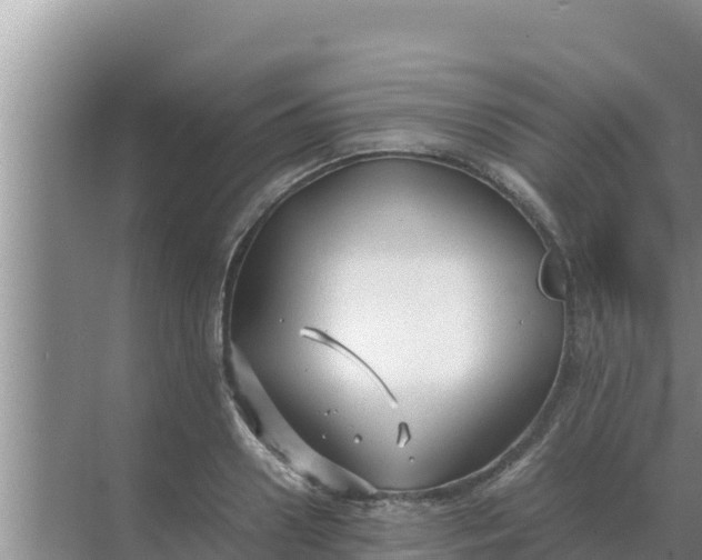 X0000069390938200605262113