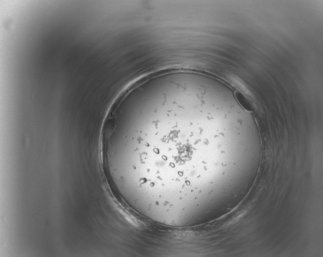 X0000069390940200605262113