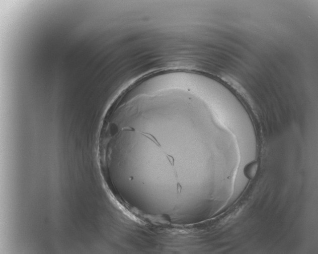 X0000069390941200605262113