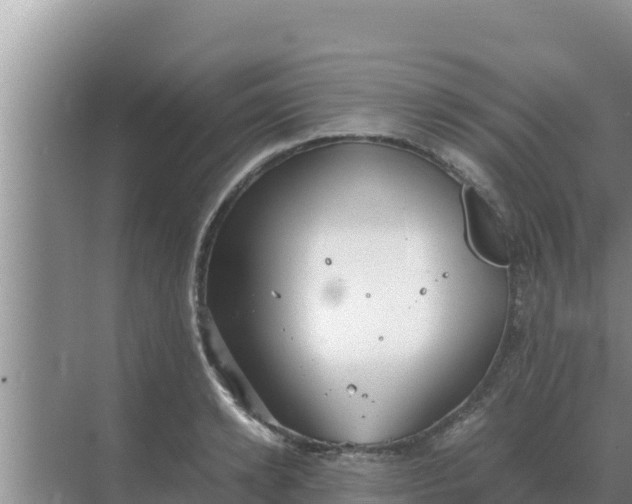 X0000069390942200605262113