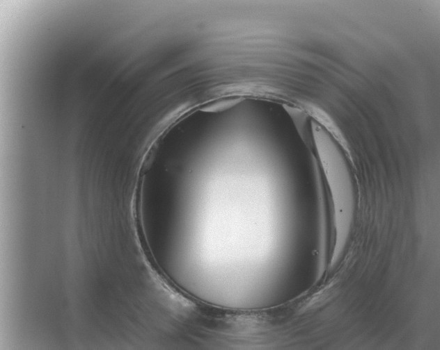 X0000069390946200605262113