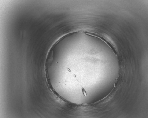 X0000069390948200605262113