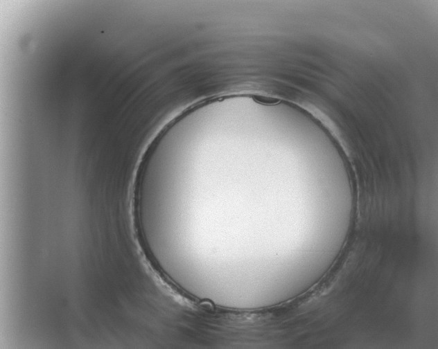 X0000069390949200605262113