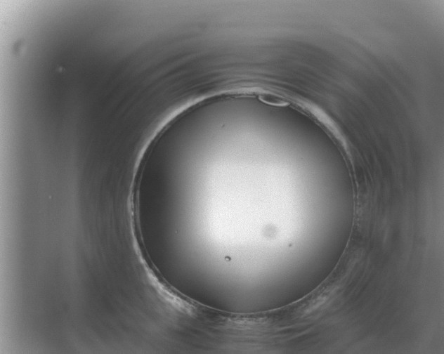 X0000069390951200605262113