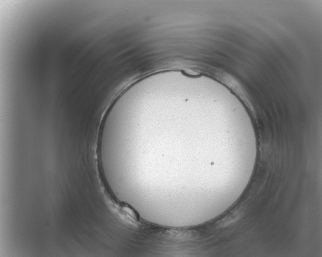 X0000069390954200605262113