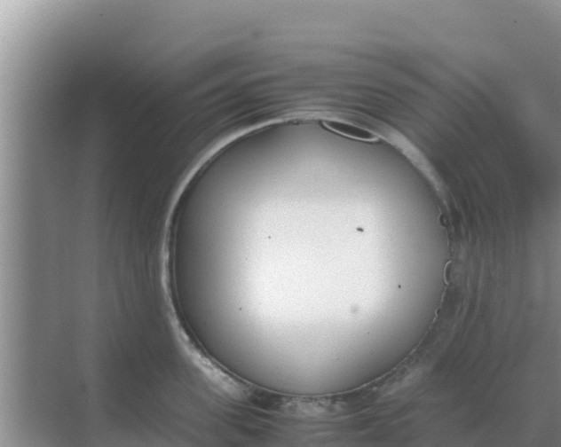 X0000069390955200605262113