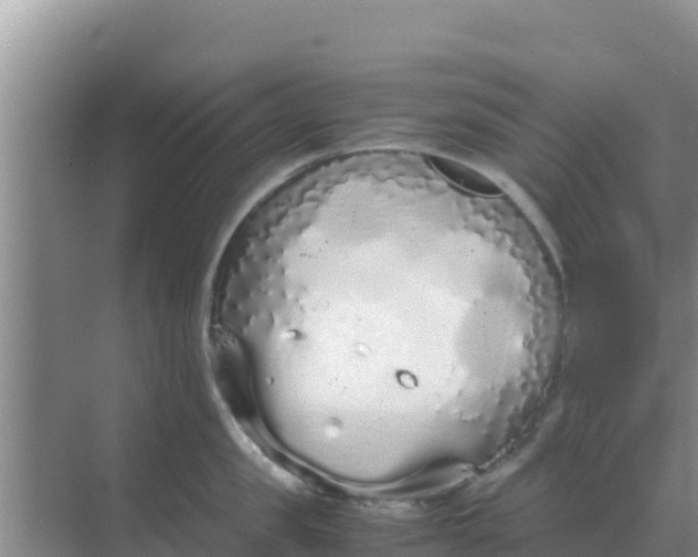 X0000069390957200605262113