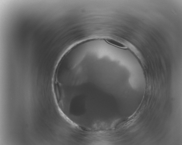 X0000069390958200605262113