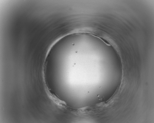 X0000069390960200605262113