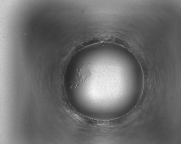 X0000069390961200605262112