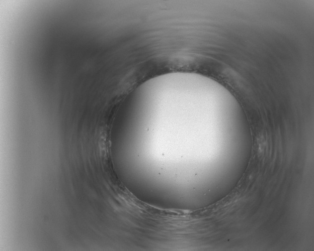 X0000069390964200605262112