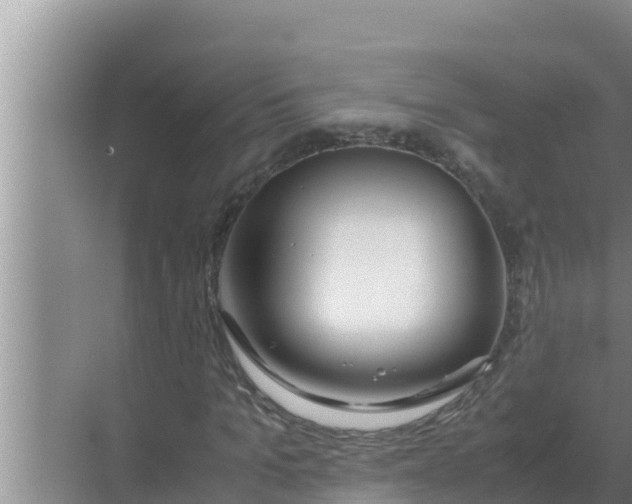 X0000069390965200605262112