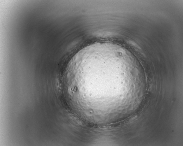 X0000069390966200605262112