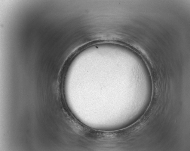 X0000069390975200605262112