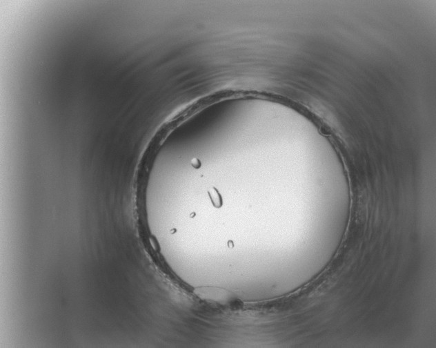 X0000069390976200605262112