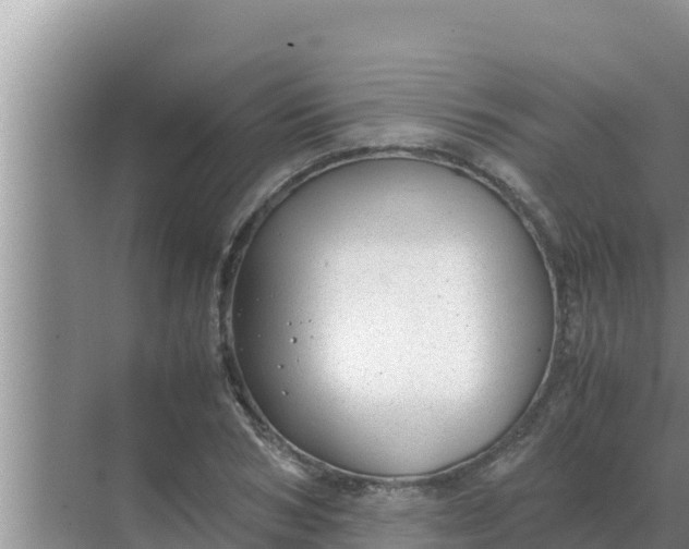 X0000069390978200605262112