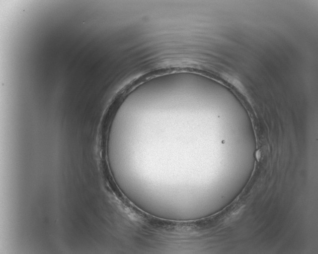 X0000069390979200605262112