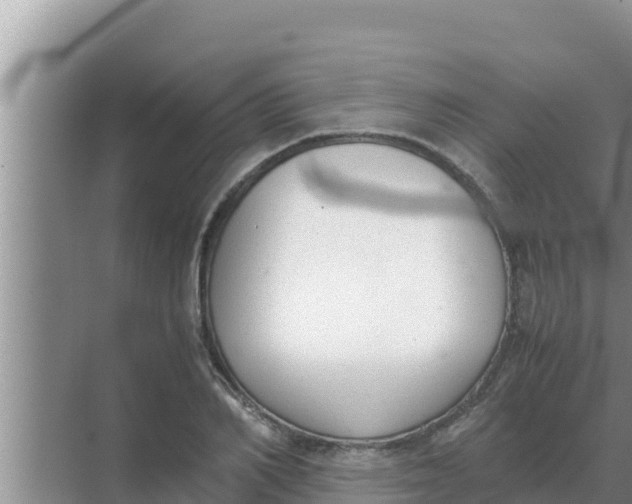 X0000069390982200605262112