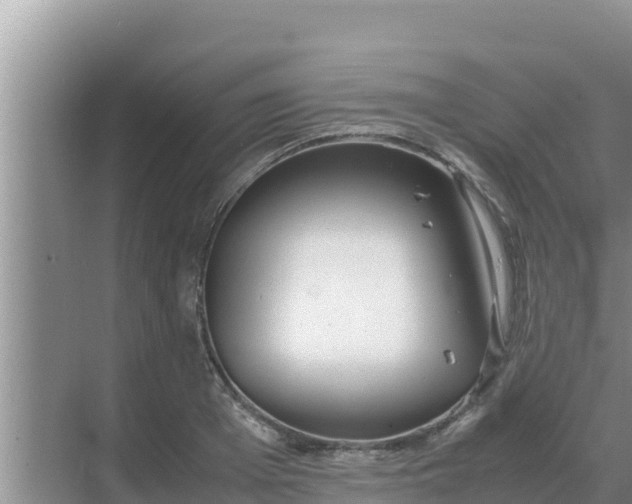 X0000069390985200605262112