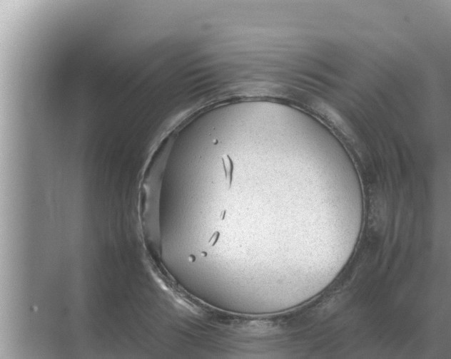 X0000069390986200605262112