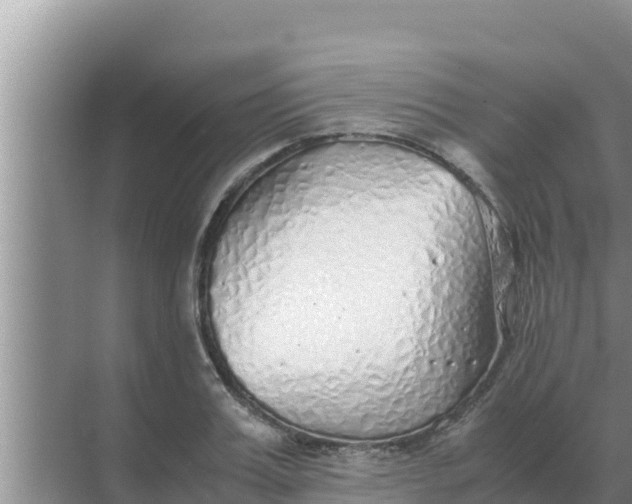 X0000069390987200605262112