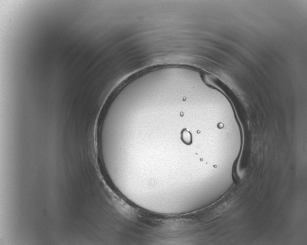 X0000069390988200605262112