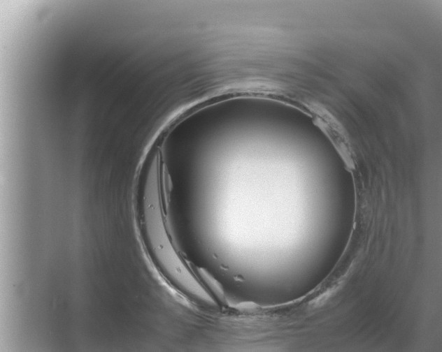 X0000069390989200605262112