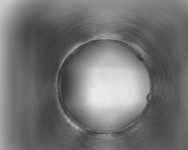 X0000069390990200605262112