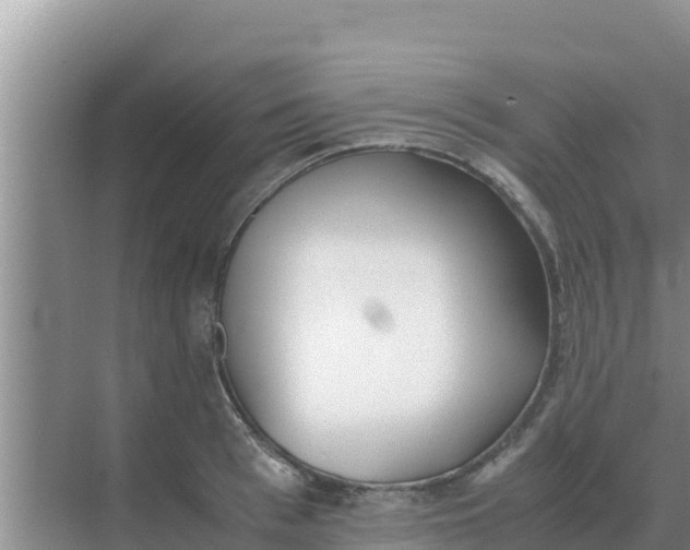 X0000069390993200605262112