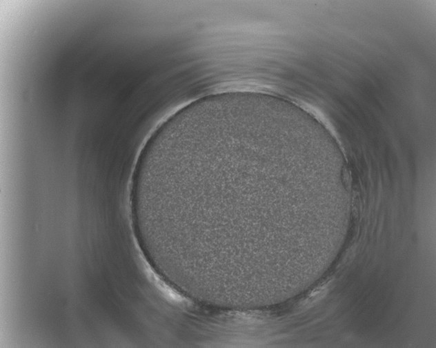 X0000069390995200605262112