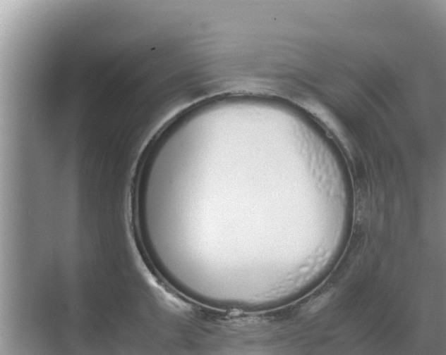 X0000069390999200605262111