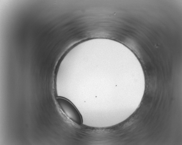 X0000069391000200605262111