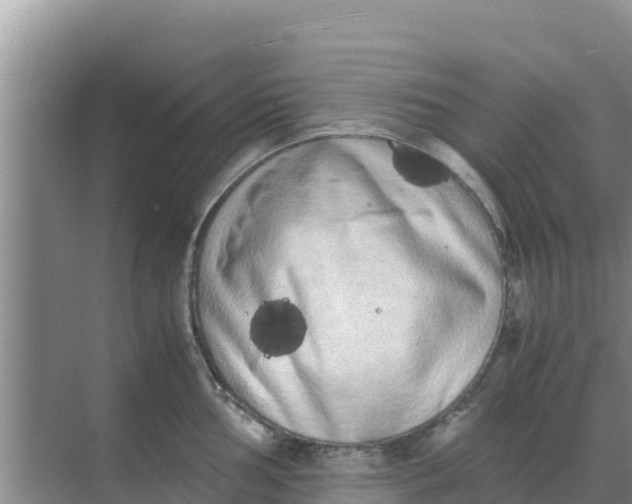 X0000069391002200605262111