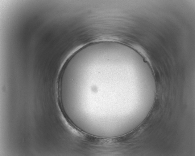 X0000069391003200605262111