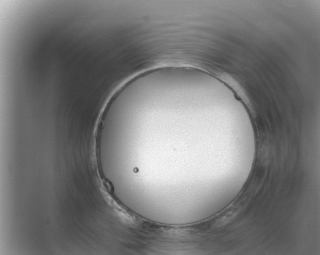 X0000069391004200605262111