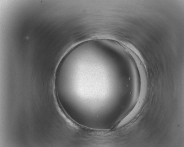 X0000069391005200605262111