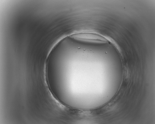 X0000069391006200605262111