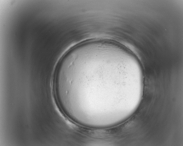 X0000069391007200605262111