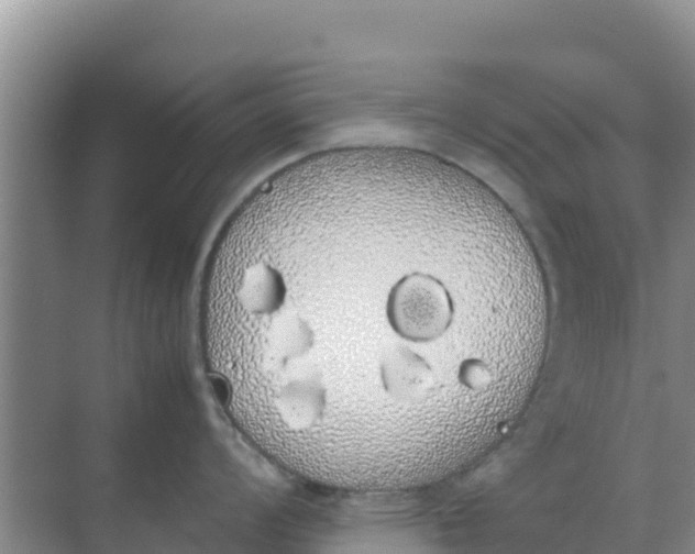 X0000069391008200605262111