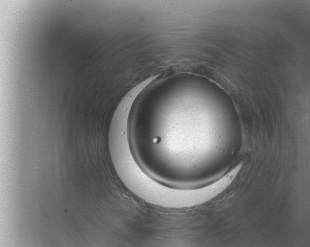 X0000069391010200605262111