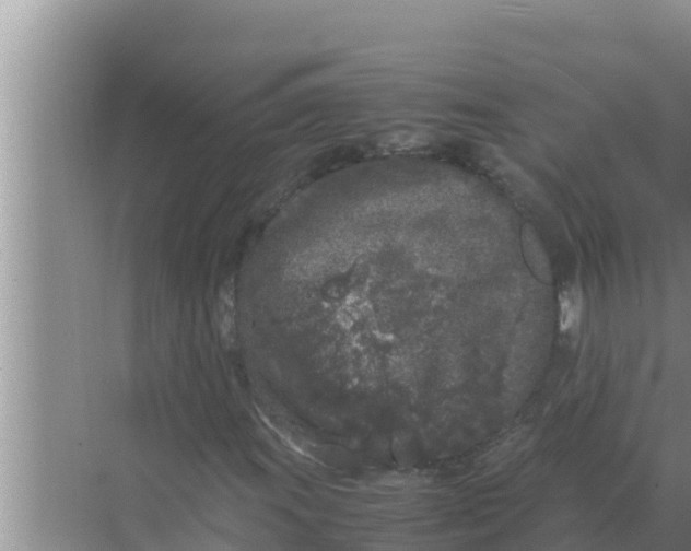 X0000069391011200605262111