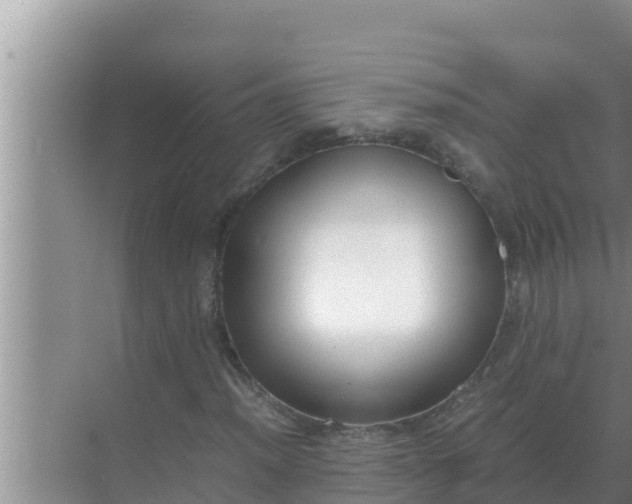 X0000069391012200605262111