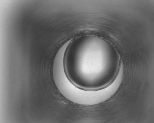 X0000069391014200605262111