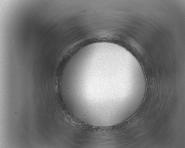 X0000069391016200605262111